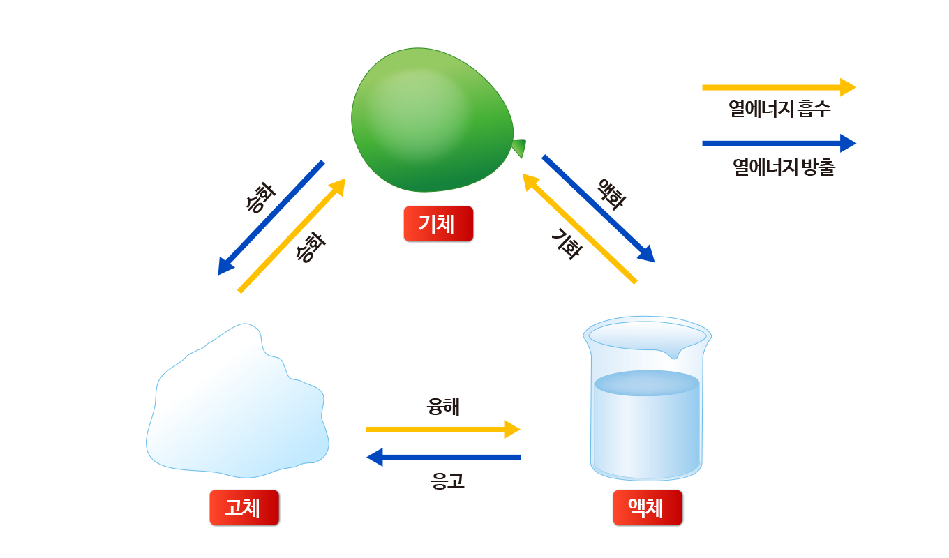 중등 1학년 1학기 중1 과학 6단원 