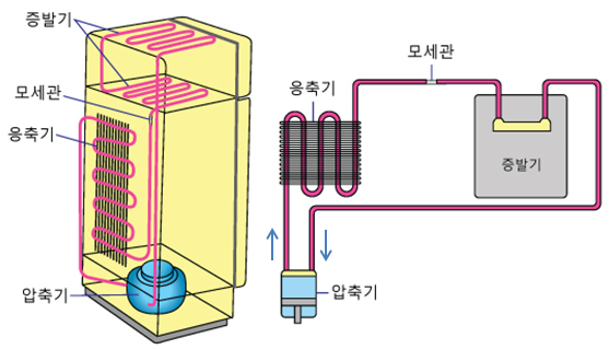 그림입니다.